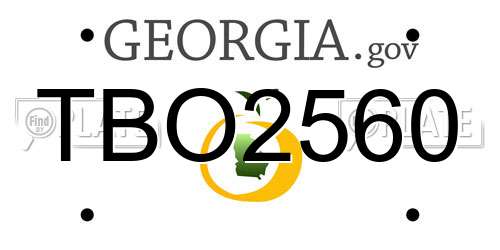 TBO2560 Georgia License Plate
