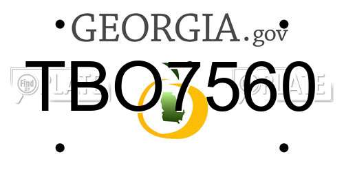 TBO7560 Georgia License Plate