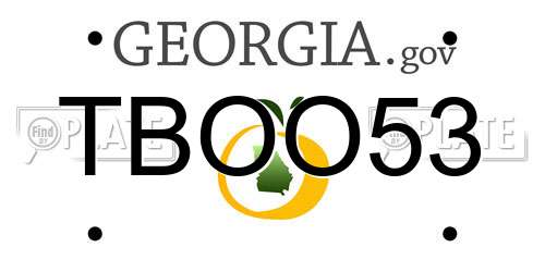 TBOO53 Georgia License Plate