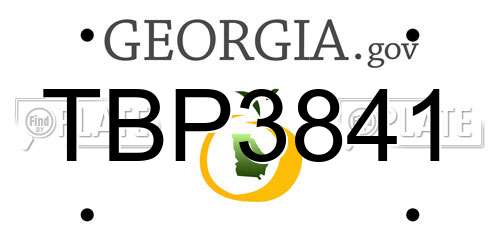 TBP3841 Georgia License Plate