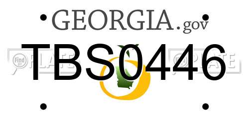 TBS0446 Georgia License Plate
