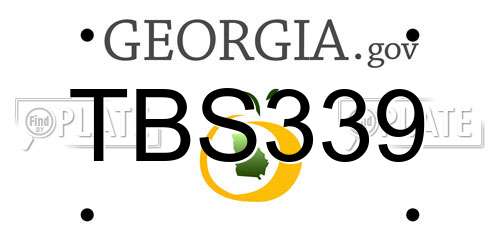 TBS339 Georgia License Plate