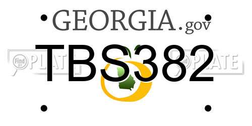 TBS382 Georgia License Plate