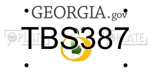 TBS387 Georgia License Plate