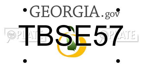 TBSE57 Georgia License Plate