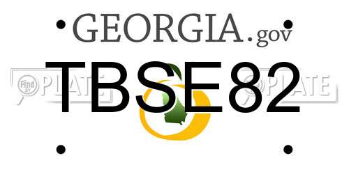 TBSE82 Georgia License Plate