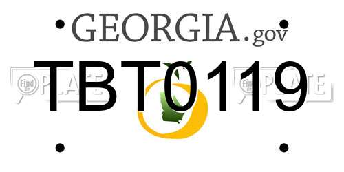 TBT0119 Georgia License Plate