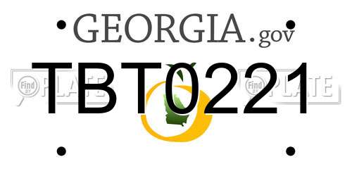 TBT0221 Georgia License Plate