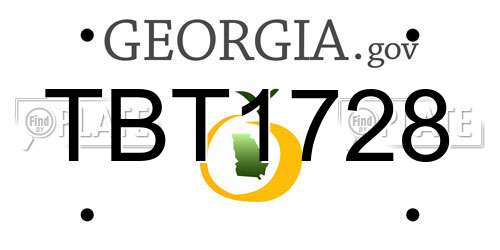 TBT1728 Georgia License Plate