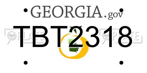 TBT2318 Georgia License Plate