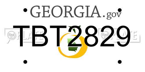 TBT2829 Georgia License Plate