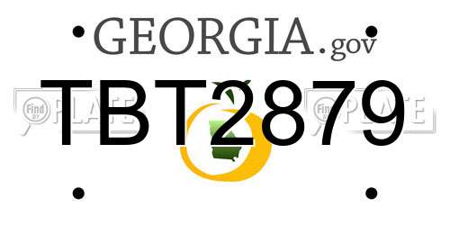 TBT2879 Georgia License Plate