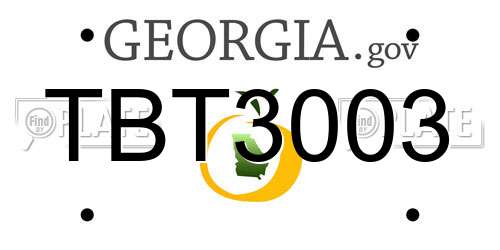 TBT3003 Georgia License Plate