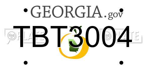 TBT3004 Georgia License Plate