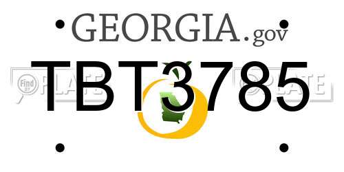 TBT3785 Georgia License Plate