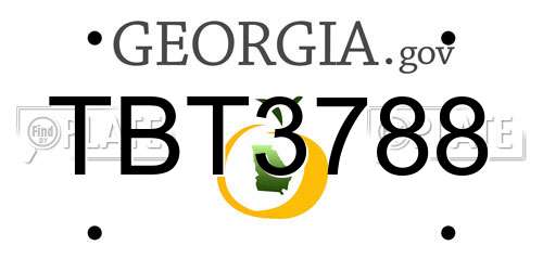 TBT3788 Georgia License Plate