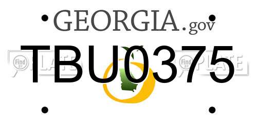 TBU0375 Georgia License Plate
