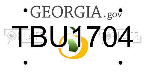 TBU1704 Georgia License Plate