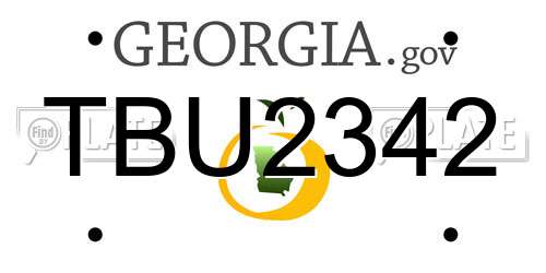 TBU2342 Georgia License Plate