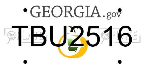 TBU2516 Georgia License Plate