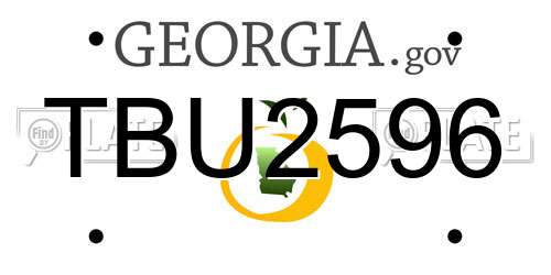 TBU2596 Georgia License Plate
