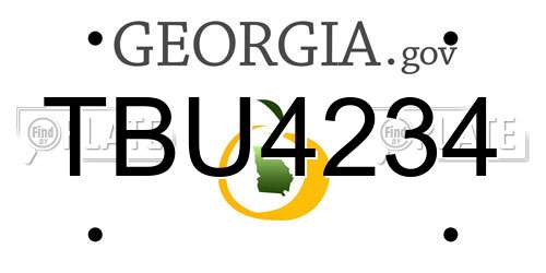 TBU4234 Georgia License Plate