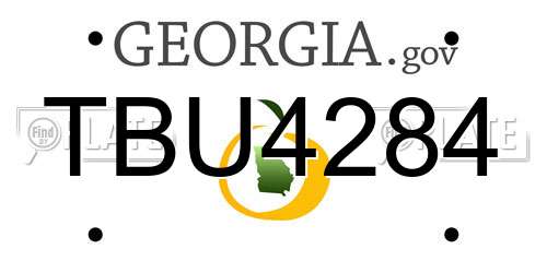 TBU4284 Georgia License Plate