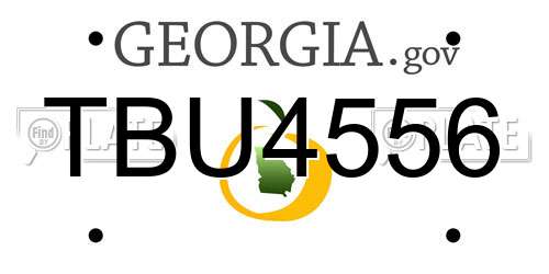 TBU4556 Georgia License Plate