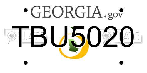 TBU5020 Georgia License Plate