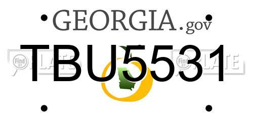 TBU5531 Georgia License Plate