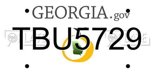 TBU5729 Georgia License Plate