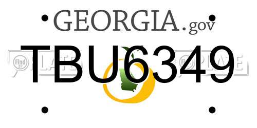 TBU6349 Georgia License Plate