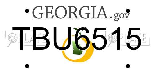 TBU6515 Georgia License Plate