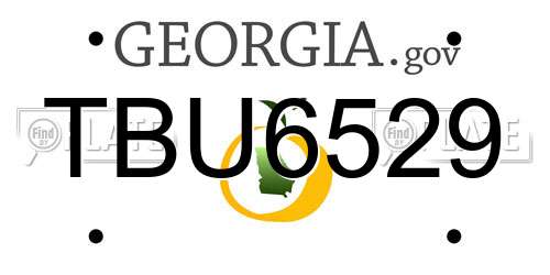 TBU6529 Georgia License Plate