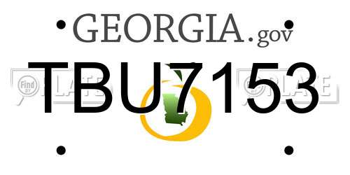 TBU7153 Georgia License Plate
