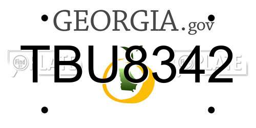 TBU8342 Georgia License Plate