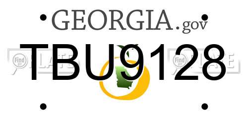 TBU9128 Georgia License Plate