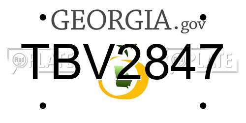 TBV2847 Georgia License Plate