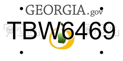 TBW6469 Georgia License Plate