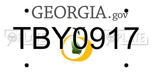 TBY0917 Georgia License Plate