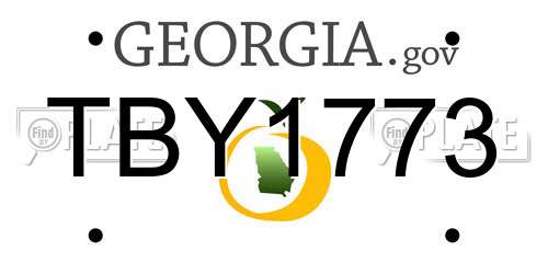TBY1773 Georgia License Plate