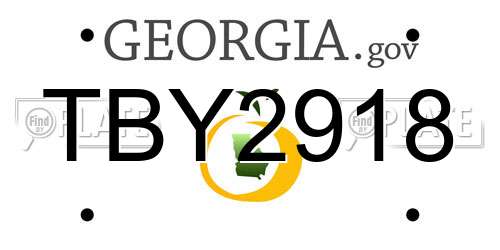 TBY2918 Georgia License Plate