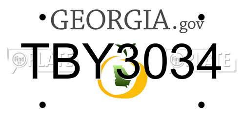 TBY3034 Georgia License Plate