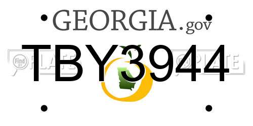 TBY3944 Georgia License Plate