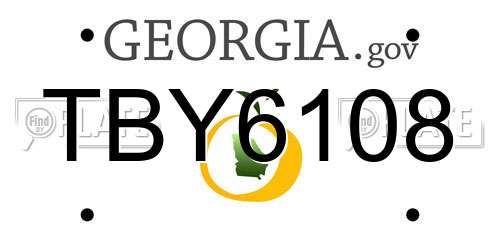 TBY6108 Georgia License Plate