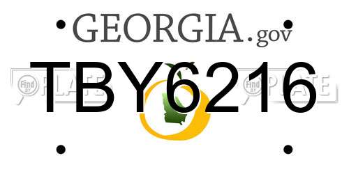 TBY6216 Georgia License Plate