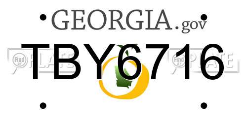 TBY6716 Georgia License Plate