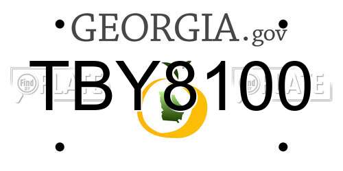 TBY8100 Georgia License Plate