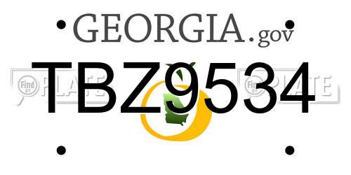 TBZ9534 Georgia License Plate