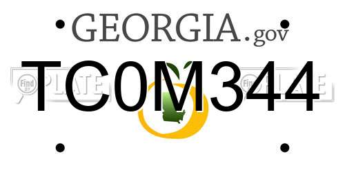 TC0M344 Georgia License Plate